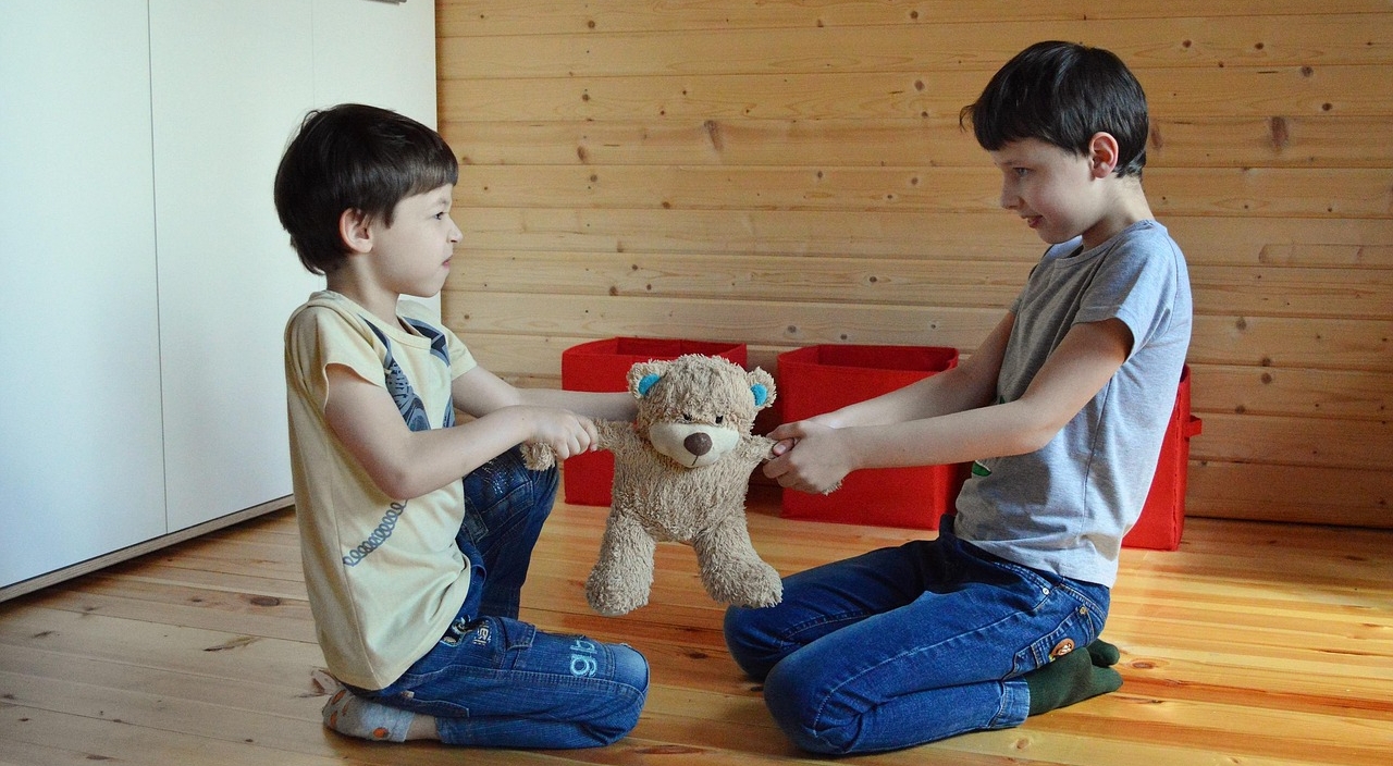 do not share a toy, an argument over toys, argument, toy, do not share, kids, family, teddy bear, baby, together, fight, i bet, share, argument, argument, argument, argument, argument, share, share